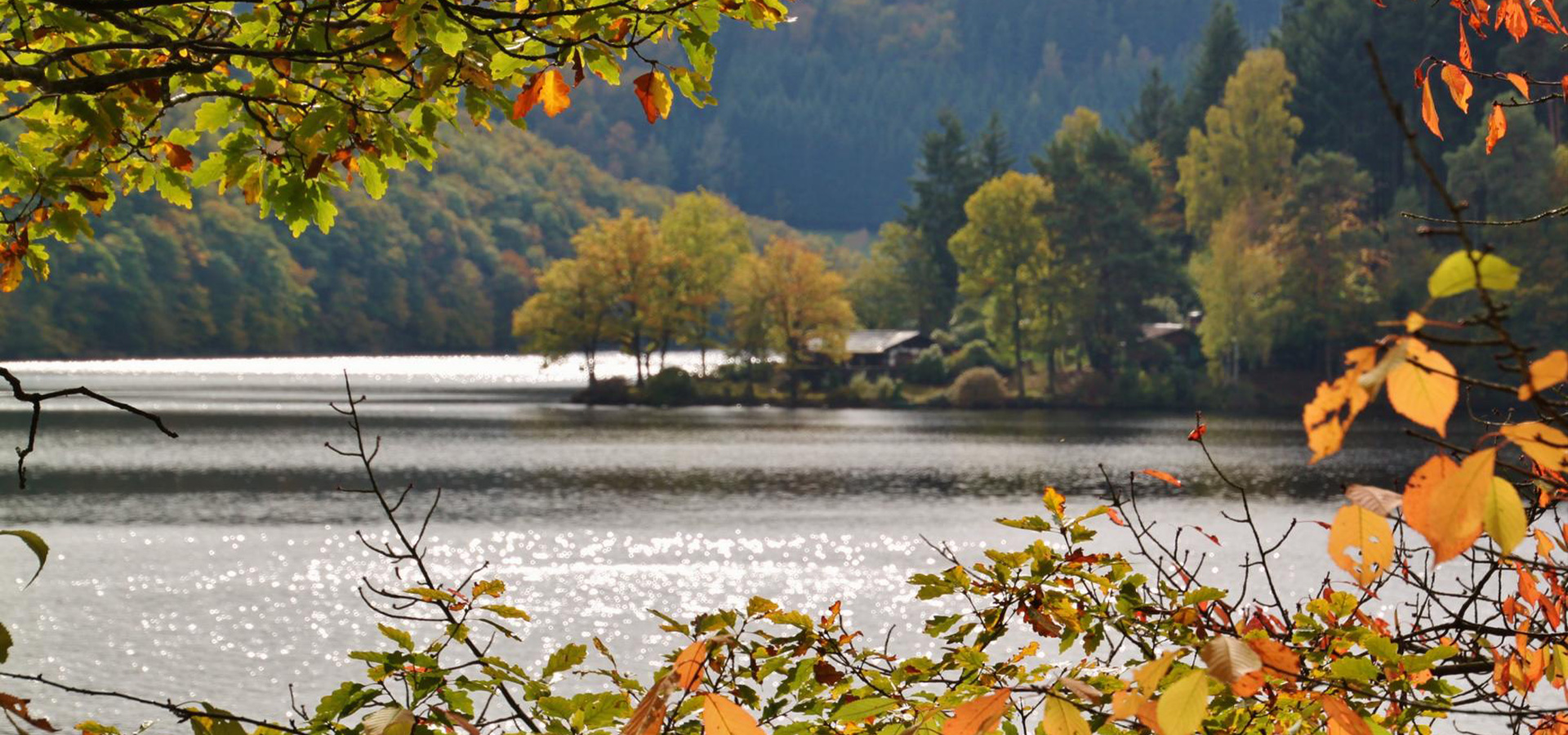 Herbstliche Landschaft am See mit Bäumen, Wasser und Sauerländer Natur
