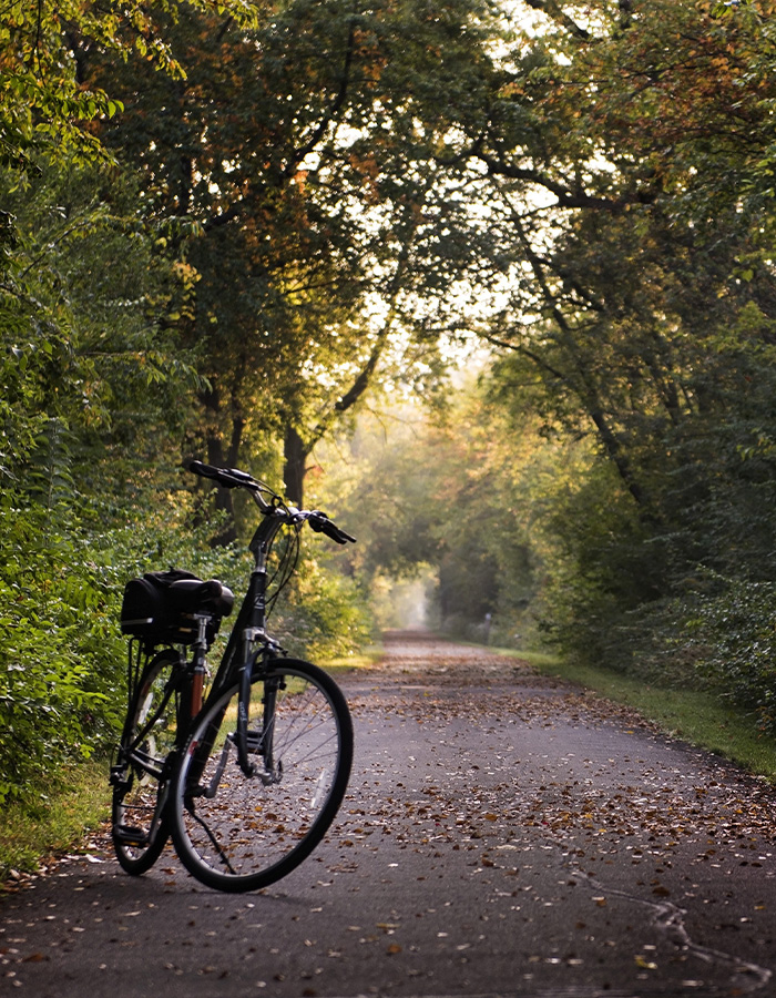 Radurlaub Sauerland Haus Dumicketal Fahrrad auf einem Waldweg in der Natur des Sauerlands