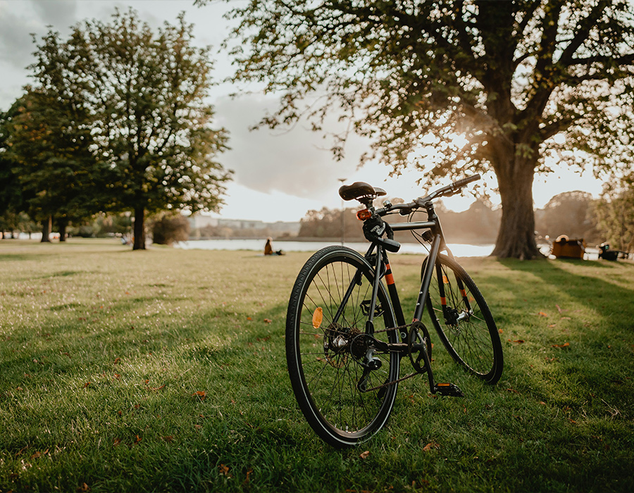 Fahrrad am See