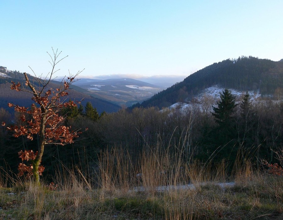 Blick über eine ruhige Sauerländer Landschaft mit Hügeln, Wald und weitem Tal