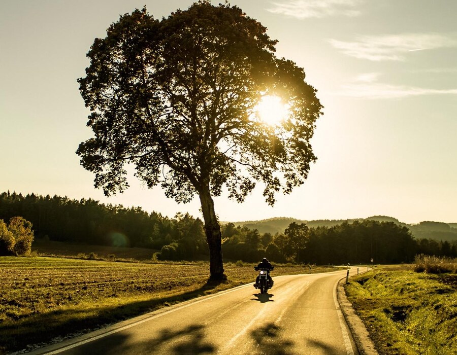 Motorradfahrer auf einer sonnigen Landstraße im Sauerland mit großem Baum am Straßenrand