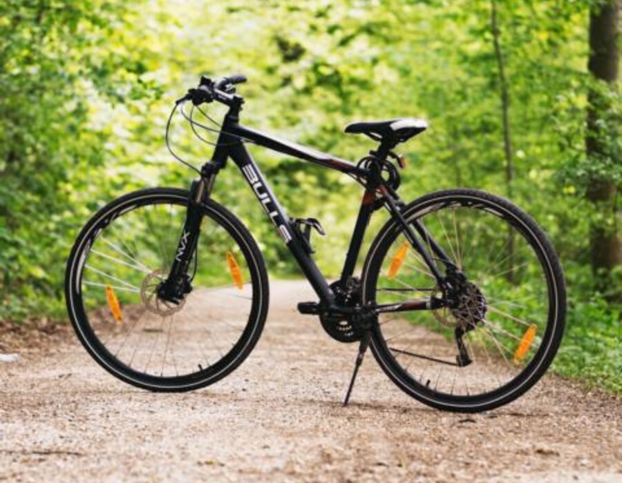 Schwarzes E-Bike steht auf einem Weg vor grünem Hintergrund in der Natur