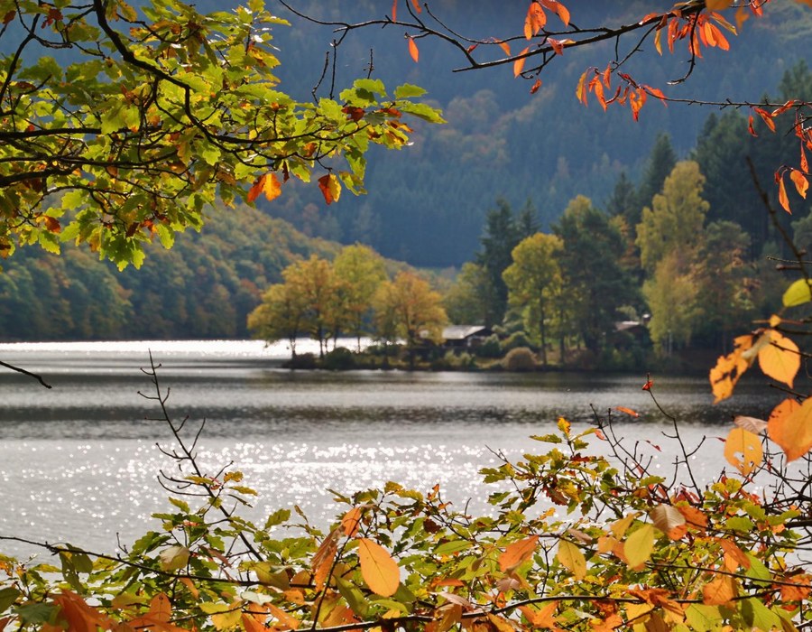Herbstliche Landschaft mit See, Bäumen und Natur im Sauerland