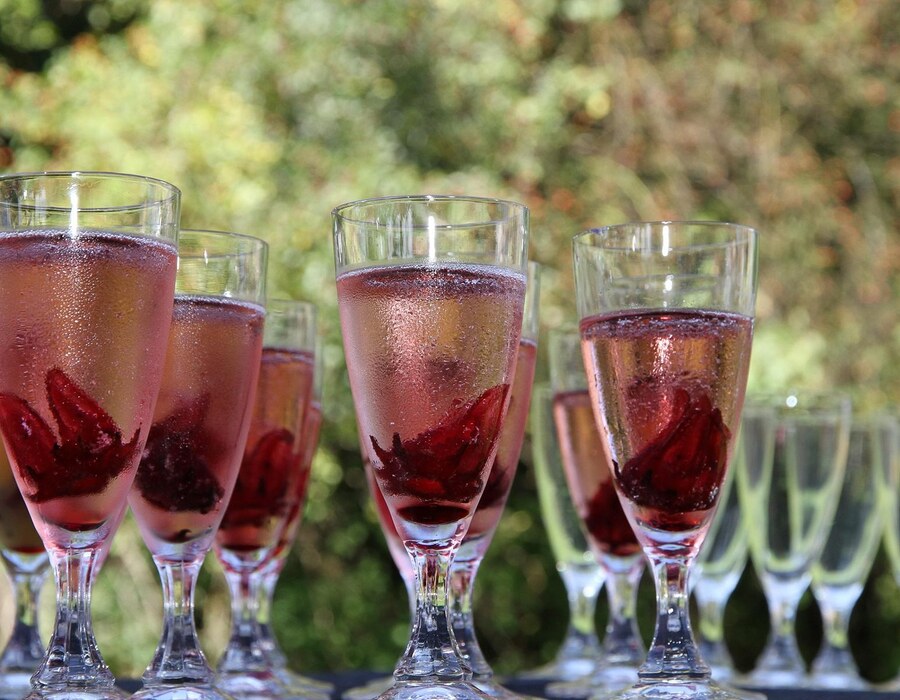 Feste feiern Sauerland Haus Dumicketal Gläser mit Sekt und Beeren für einen festlichen Empfang im Grünen