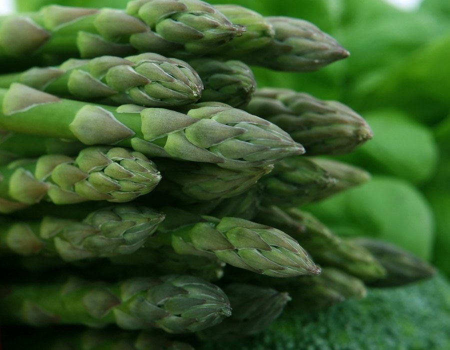 Nahaufnahme von frischem grünem Spargel