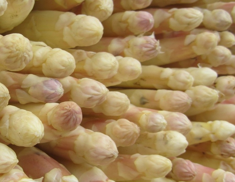 Nahaufnahme von frischem weißem Spargel