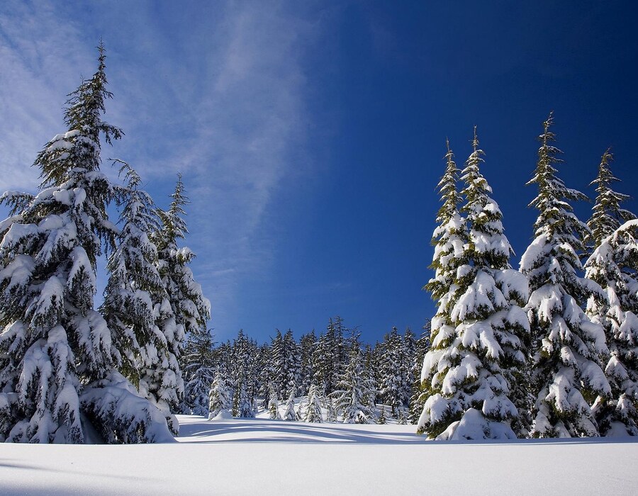Winterurlaub Sauerland Haus Dumicketal Verschneite Winterlandschaft mit schneebedeckten Bäumen unter blauem Himmel