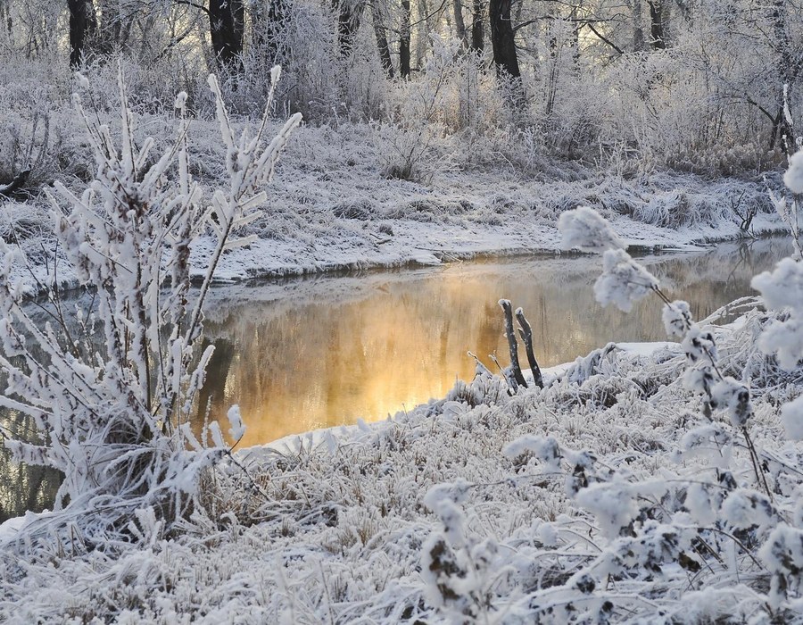 Winterspaziergang Sauerland Haus Dumicketal Verschneite Winterlandschaft am Wasser mit frostbedeckten Pflanzen und Bäumen